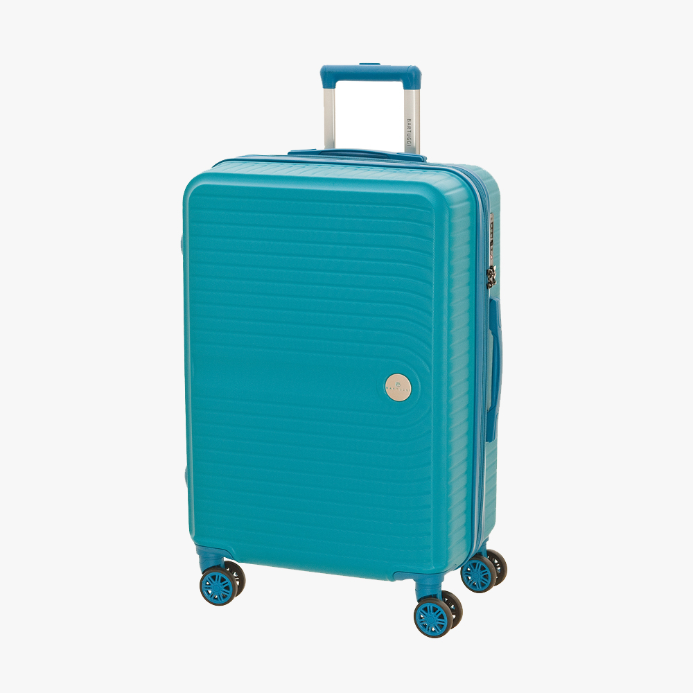 Trolley Cases Large Trolley Case